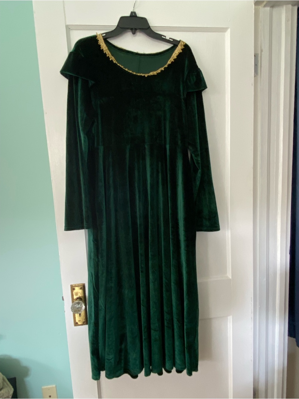 Ogre Fiona Costume Emerald Green Velvet Maxi Dress